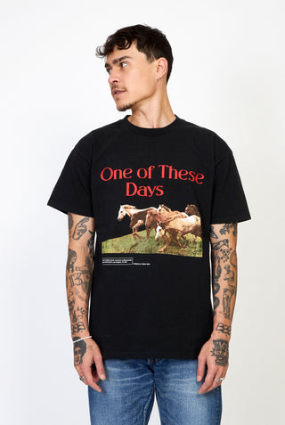 One of These Days Wild Horses t-shirt