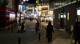 THE SUNDAY EDIT VOL. 183 | A Fall Trip To Japan